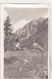 Bnk foto - Piatra Craiului - anii `60, Alb-Negru, Romania de la 1950, Natura