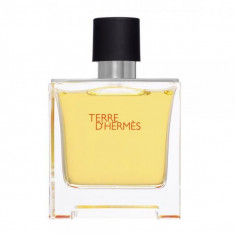 Hermes Terre Apa de Parfum 75ml, Barbati foto