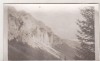 Bnk foto - Piatra Craiului - Vedere spre Marele Grohotis, Alb-Negru, Romania de la 1950, Natura