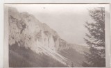 Bnk foto - Piatra Craiului - Vedere spre Marele Grohotis, Alb-Negru, Romania de la 1950, Natura