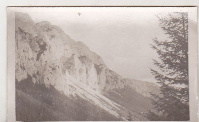 bnk foto - Piatra Craiului - Vedere spre Marele Grohotis foto