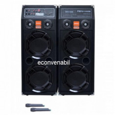 Sistem Karaoke Boxe Active cu amplificator Temeisheng DP2329 foto