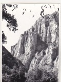 Bnk foto - Piatra Craiului - anii `60, Alb-Negru, Romania de la 1950, Natura