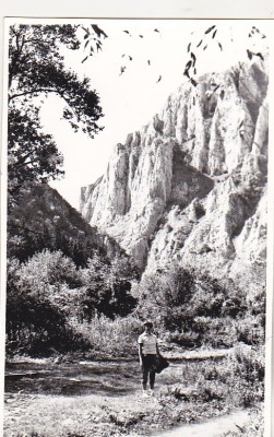 bnk foto - Piatra Craiului - anii `60 foto