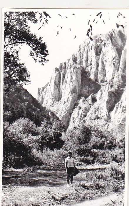 bnk foto - Piatra Craiului - anii `60