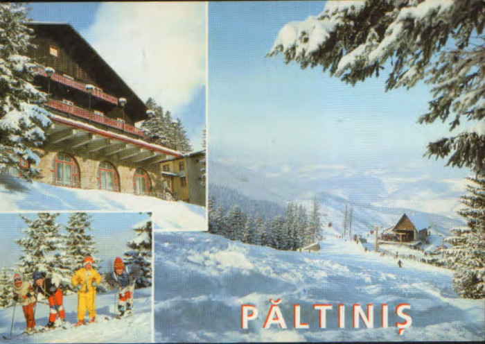 Carte postala circ. 2003 - Sibiu - Paltinis -Colaj de imagini