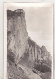 Bnk foto - Piatra Craiului - anii `60, Alb-Negru, Romania de la 1950, Natura