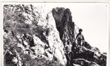 Bnk foto - Piatra Craiului - anii `60, Alb-Negru, Romania de la 1950, Natura