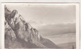 Bnk foto - Piatra Craiului - anii `60, Alb-Negru, Romania de la 1950, Natura