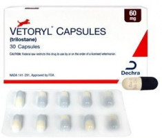 Vetoryl 60mg - caine Cushing - tratament pentru catel foto