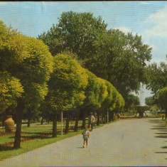 Carte postala circ. 1967 - Galati - Vedere din parc