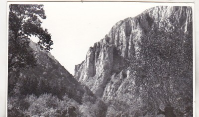 bnk foto - Piatra Craiului - anii `60 foto