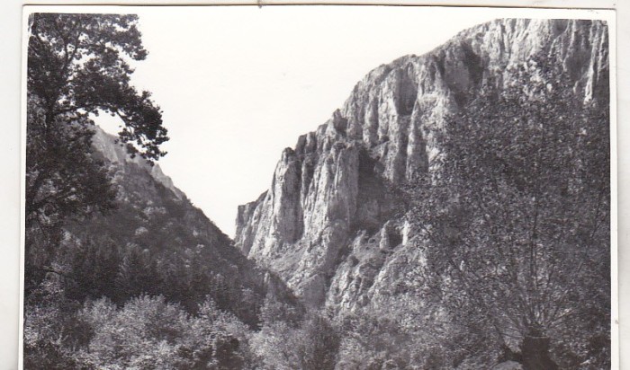 bnk foto - Piatra Craiului - anii `60