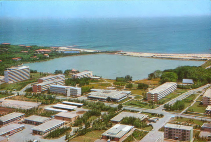 Carte postala necirculata - Mangalia Nord - Vedere