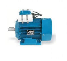 Motor monofazat 0.75 Kw, 3000 rot/min MMF71 Electroprecizia foto