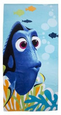 Prosop Finding Dory foto