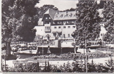 bnk cp Borsec - Vedere din parc - uzata foto