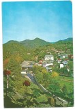 @carte postala(ilustrata)-VALCEA-Olanesti