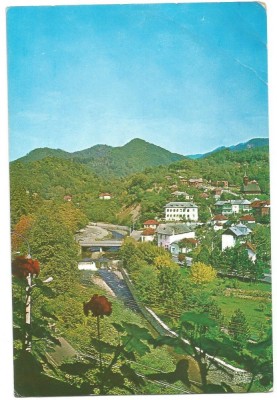 @carte postala(ilustrata)-VALCEA-Olanesti foto