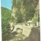 @carte postala(ilustrata)-VALCEA-Olanesti