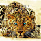Tablou Canvas Leopard H 80 x 150 cm -animal-tiger-face