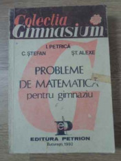 Probleme De Matematica Pentru Gimnaziu - I. Petrica C. Stefan St. Alexe ,393923 foto