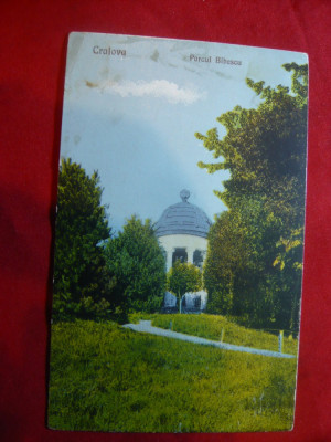 Ilustrata Craiova - Parcul Bibescu , color, interbelica foto