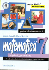 Mate 2000+Consolidare Clasa a VII-a algebra geometrie partea II, Ed. Paralela 45 foto