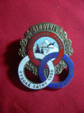 Insigna Oficial la Cupa Tatra SCHI 1950 , metal si email ,h= 4,3cm Cehoslovacia