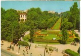 CPI (B8103) CARTE POSTALA - BUCURESTI. GRADINA CISMIGIU, Circulata, Fotografie