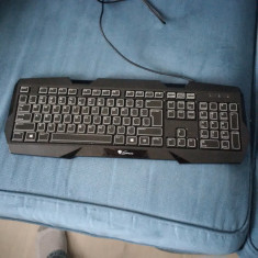 Tastatura Gaming Genesis RX22 QWERTY Luminoasa 3 culori- tasta lipsa foto