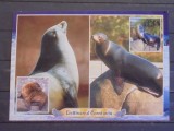 CONSTANTA - DELFINARIUL - ANIMALE MARINE - NECIRCULATA .