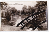 B10 RPR CP circulata 1963 Pitesti vedere din parcul Vasile Roaita