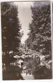 B8 RPR CP circulata 1966 Pitesti vedere din parcul Arges, Fotografie