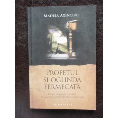 PROFETUL SI OGLINDA FERMECATA - MADEEA AXINCIUC foto