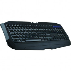 Tastatura gaming Gigabyte Force K7 foto