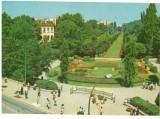 CPI (B8117) CARTE POSTALA - BUCURESTI. GRADINA CISMIGIU, Necirculata, Fotografie
