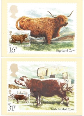 RAR MAREA BRITANIA - LOT 5 ILUSTRATE MAXIME RASE DE TAURINE - 1984/CELE DIN SCAN foto