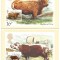RAR MAREA BRITANIA - LOT 5 ILUSTRATE MAXIME RASE DE TAURINE - 1984/CELE DIN SCAN