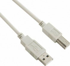 4World Cablu USB 2.0 tip A-B M/M, 5m, gri foto