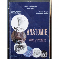 ANATOMIE APARATUL DIGESTIV - G.LUPU foto