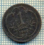 8919 MONEDA- AUSTRIA - 1 HELLER -anul 1902 - starea ce se vede