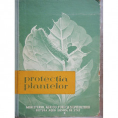 PROTECTIA PLANTELOR foto