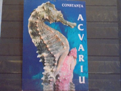 CONSTANTA - ACVARIUL - CALUT DE MARE II - NECIRCULATA . foto