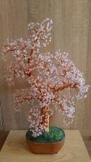 bonsai cu cuart roz foto
