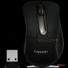 CANYON Mouse CNE-CMSW2 (Wireless, Optical 800 dpi, 3 btn, USB), Black foto