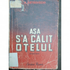 ASA S-A CALIT OTELUL - N. OSTROVSCHI foto
