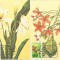 !!! SAO TOME (SAINT THOMAS) - LOT 6 ILUSTRATE MAXIME FLORI - 1979 /CELE DIN SCAN