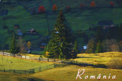 CP Romania ,necirc - Bucovina - Toamna la Sadova foto