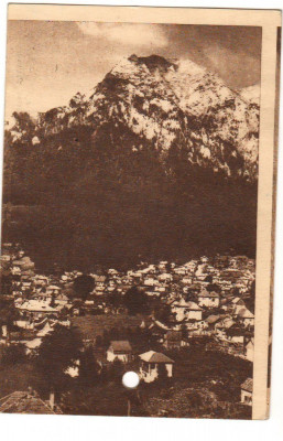 CPI (B8187) CARTE POSTALA - BUSTENI. SPRE CARAIMAN SI BUCEGI foto